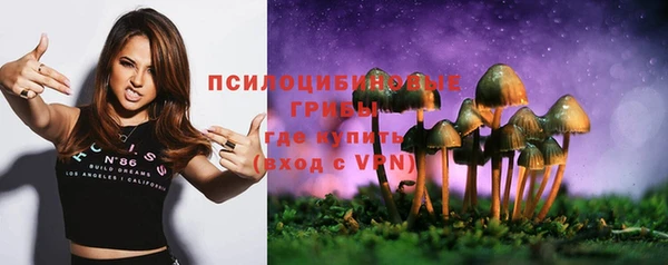 мяу мяу кристалл Алексин