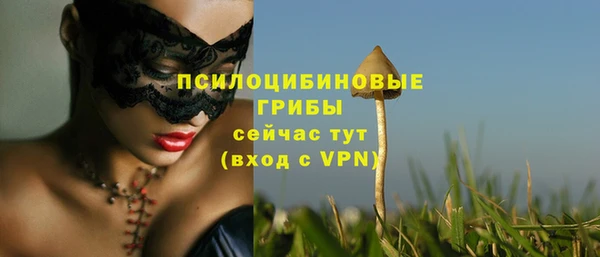 кристаллы Абаза